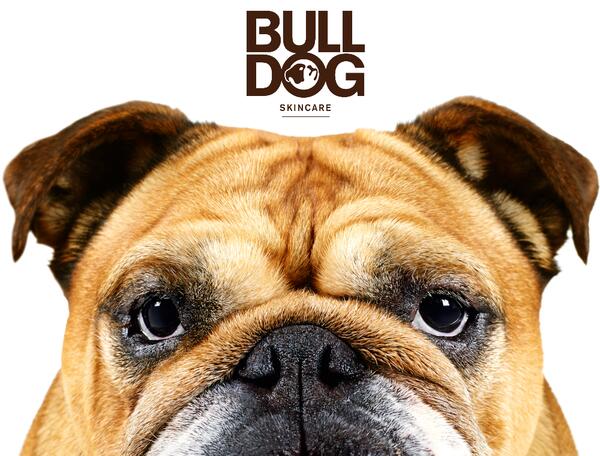 Bulldog