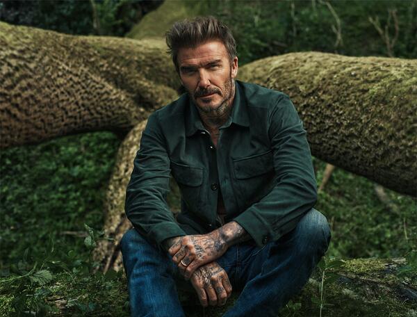 David Beckham