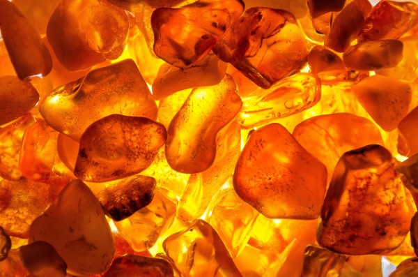 Amber Spicy