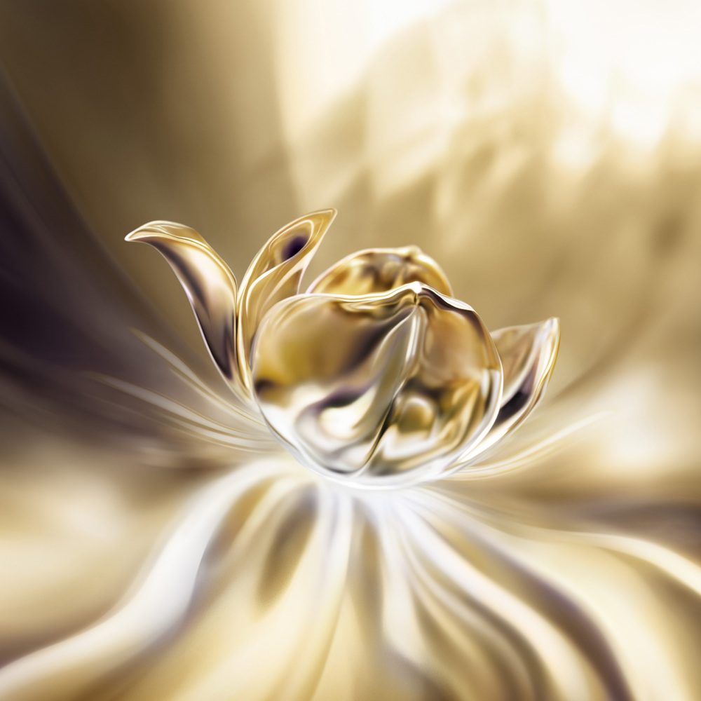 Absolue Longevity the Soft Cream