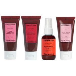 Guava Travel Kit