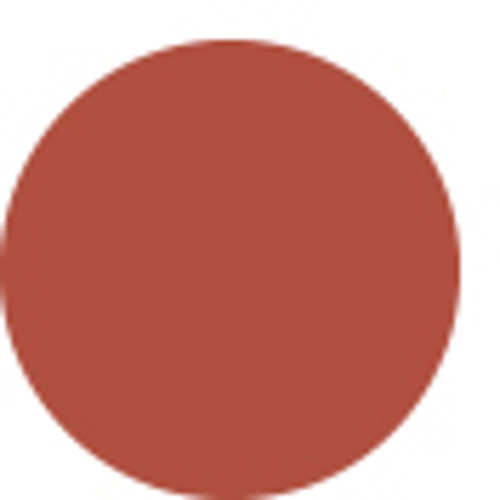 Rouge Intense Lasting Colour