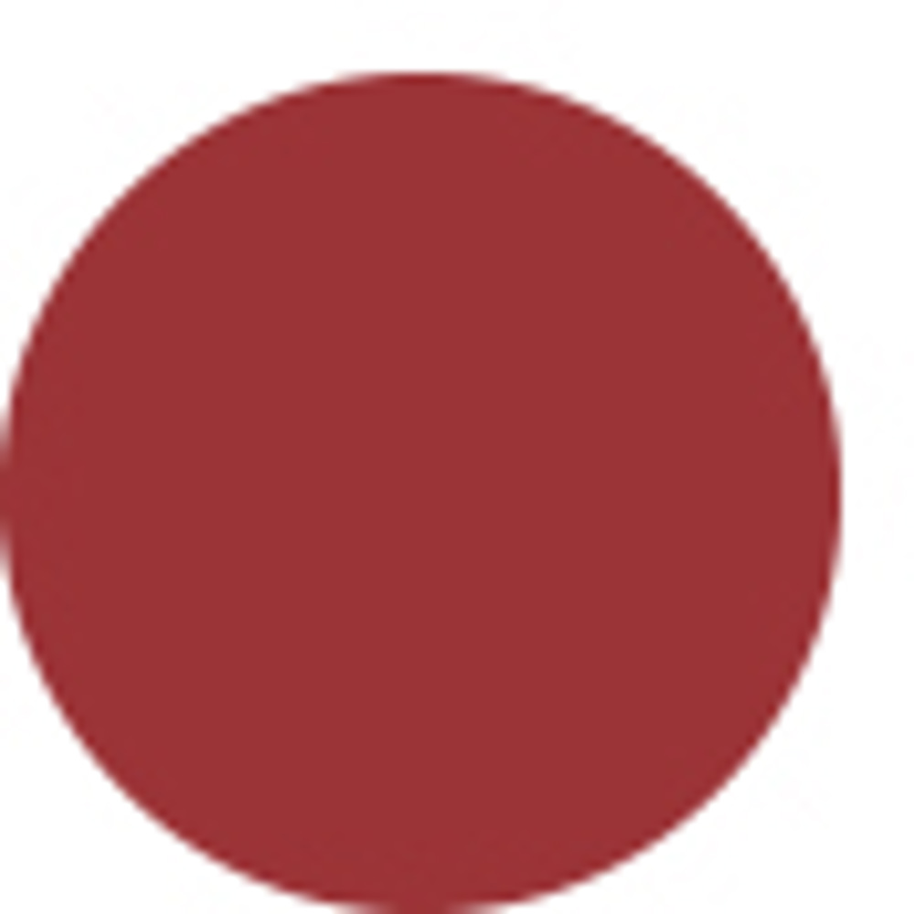 Rouge Intense Lasting Colour